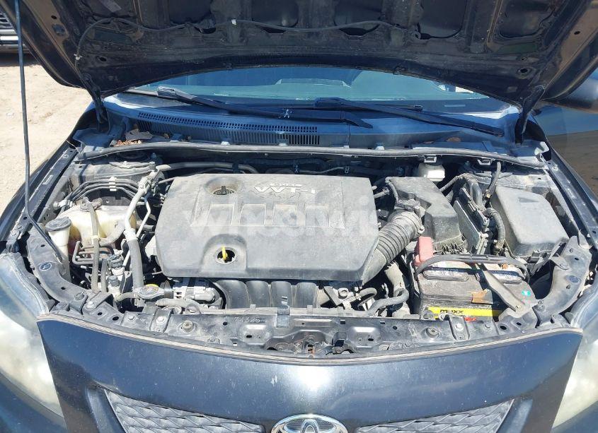 Photo 10 of 2010 Toyota Corolla S (VIN 2T1BU4EE0AC443930)