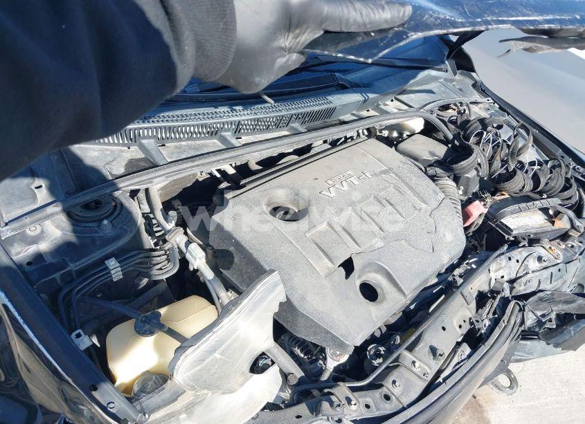 Photo 10 of 2010 Toyota Corolla LE (VIN 2T1BU4EE0AC500367)