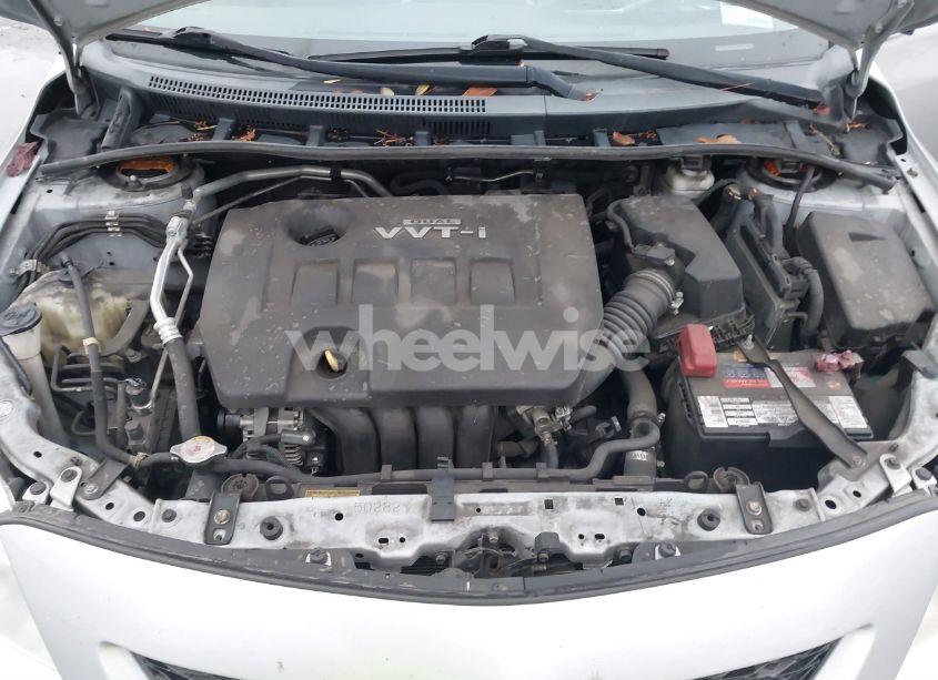 Photo 10 of 2010 Toyota Corolla LE (VIN 2T1BU4EE0AC516861)