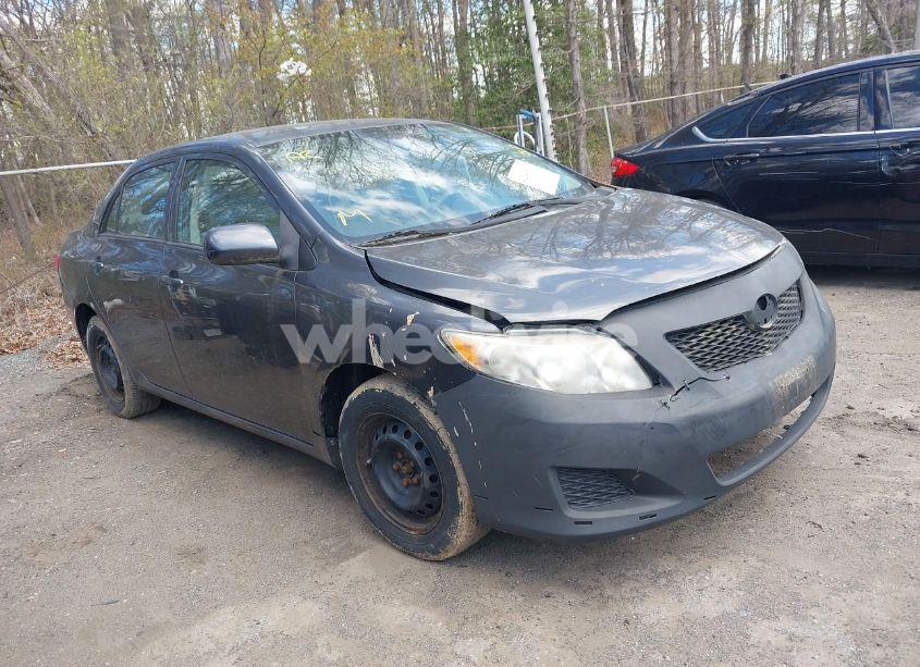 2010 Toyota Corolla LE (VIN 2T1BU4EE0AC521946) main photo