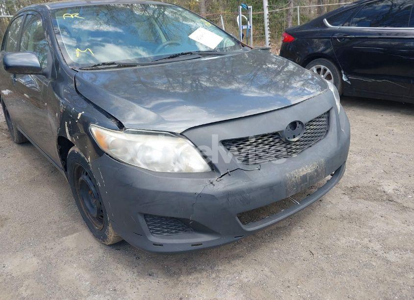 Photo 6 of 2010 Toyota Corolla LE (VIN 2T1BU4EE0AC521946)