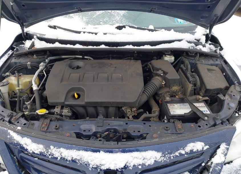 Photo 10 of 2011 Toyota Corolla LE (VIN 2T1BU4EE0BC714664)