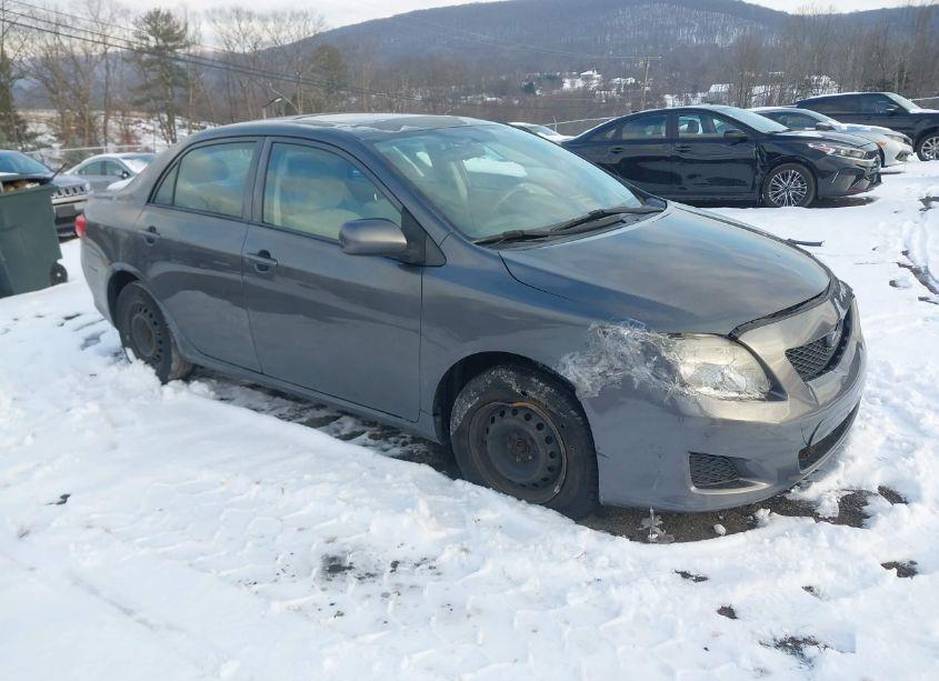 2010 Toyota Corolla LE (VIN 2T1BU4EE1AC228198) main photo