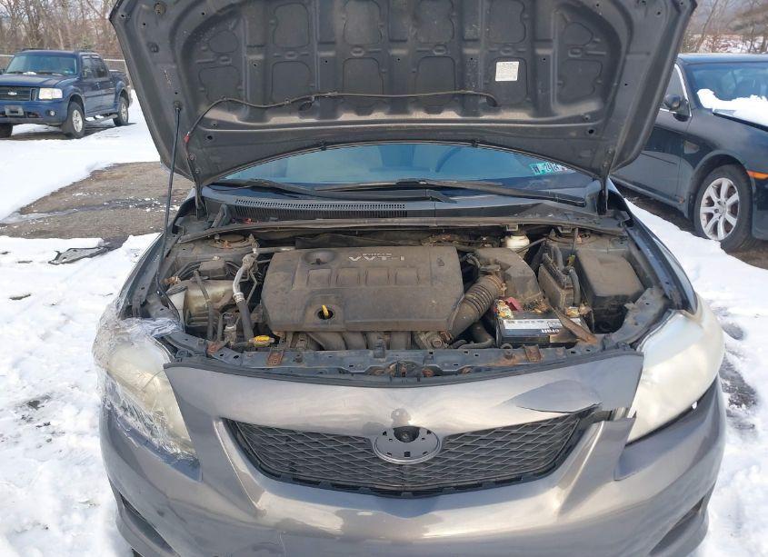 Photo 10 of 2010 Toyota Corolla LE (VIN 2T1BU4EE1AC228198)