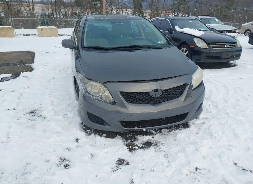 Photo 6 of 2010 Toyota Corolla LE (VIN 2T1BU4EE1AC228198)