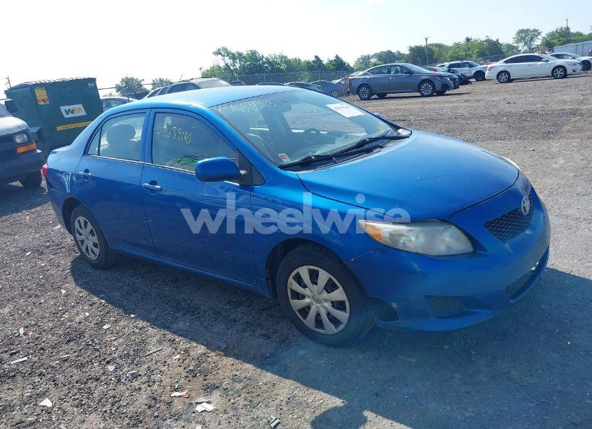 2010 Toyota Corolla LE (VIN 2T1BU4EE1AC246183) main photo