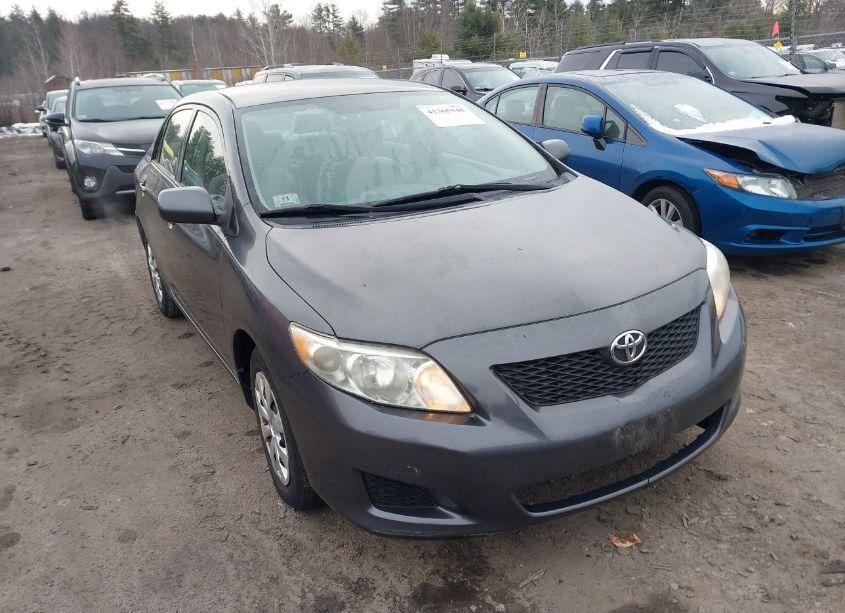 2010 Toyota Corolla LE (VIN 2T1BU4EE1AC279202) main photo