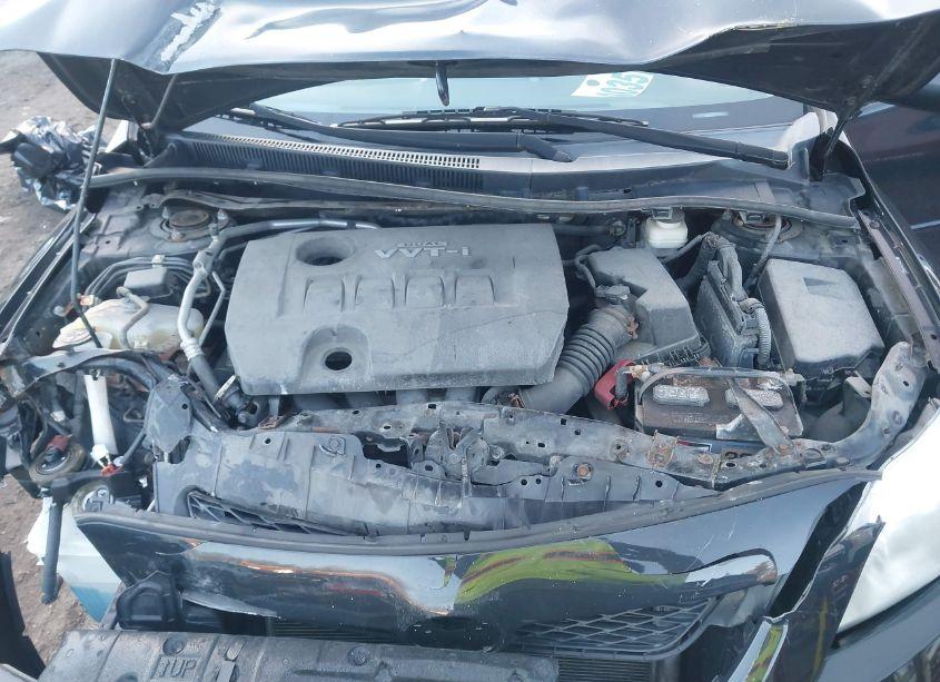 Photo 10 of 2010 Toyota Corolla LE (VIN 2T1BU4EE1AC304325)