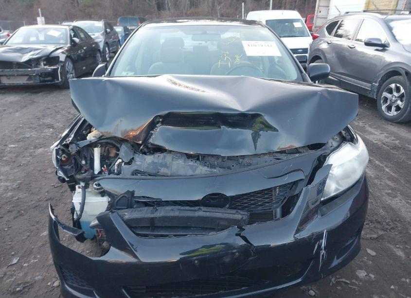 Photo 12 of 2010 Toyota Corolla LE (VIN 2T1BU4EE1AC304325)