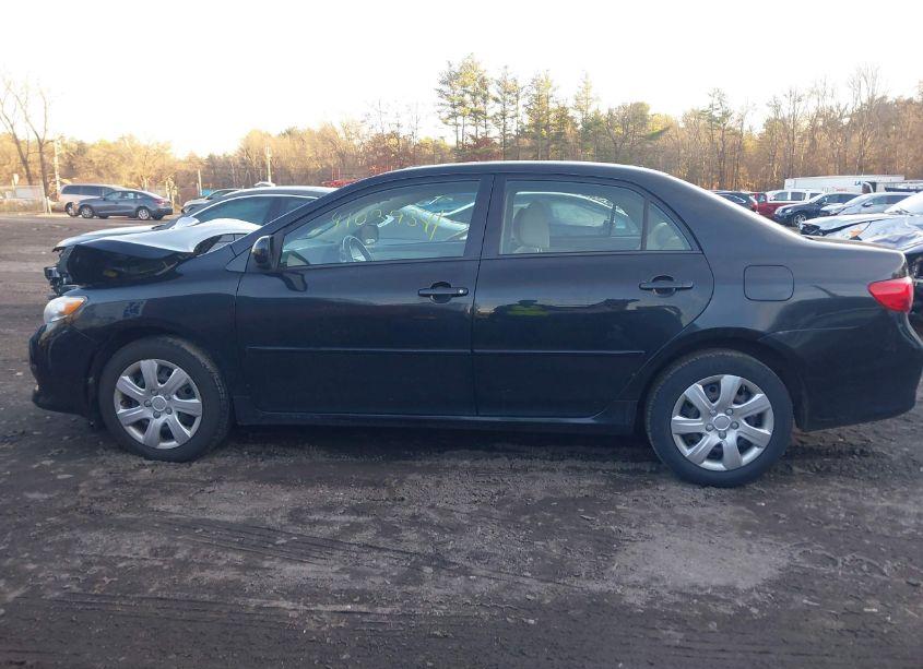 Photo 14 of 2010 Toyota Corolla LE (VIN 2T1BU4EE1AC304325)