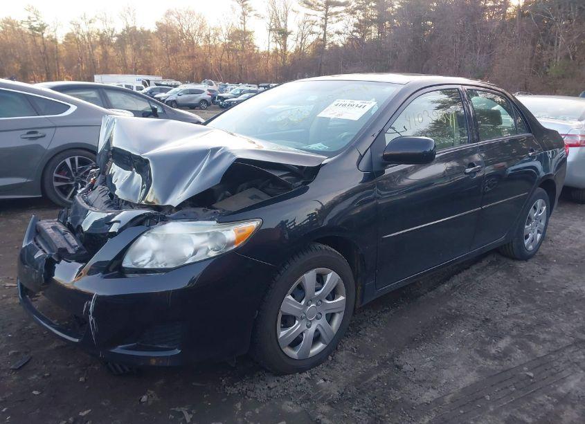 Photo 2 of 2010 Toyota Corolla LE (VIN 2T1BU4EE1AC304325)