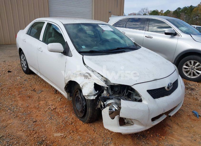 2010 Toyota Corolla LE (VIN 2T1BU4EE1AC335834) main photo