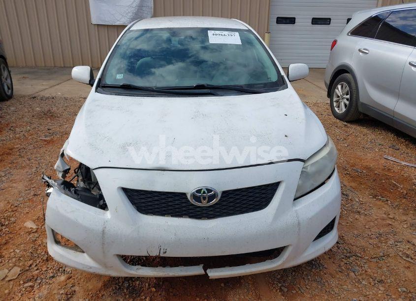 Photo 12 of 2010 Toyota Corolla LE (VIN 2T1BU4EE1AC335834)