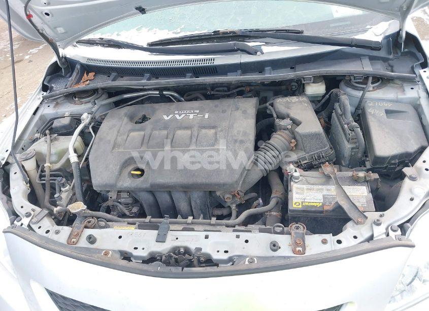 Photo 6 of 2010 Toyota Corolla LE (VIN 2T1BU4EE1AC338166)
