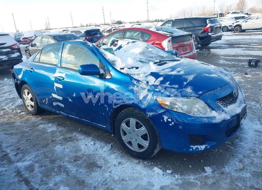 2010 Toyota Corolla LE (VIN 2T1BU4EE1AC338510) main photo