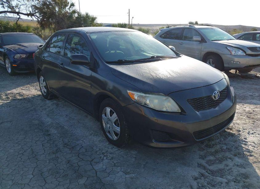 2010 Toyota Corolla LE (VIN 2T1BU4EE1AC376920) main photo
