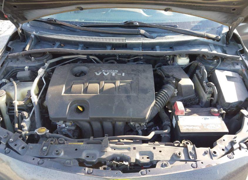 Photo 10 of 2010 Toyota Corolla LE (VIN 2T1BU4EE1AC376920)