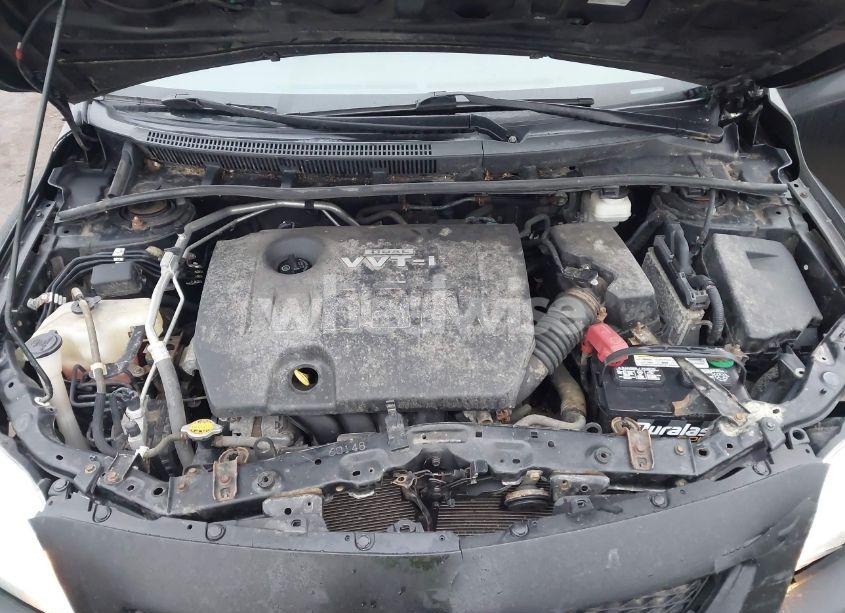 Photo 10 of 2010 Toyota Corolla LE (VIN 2T1BU4EE1AC382927)