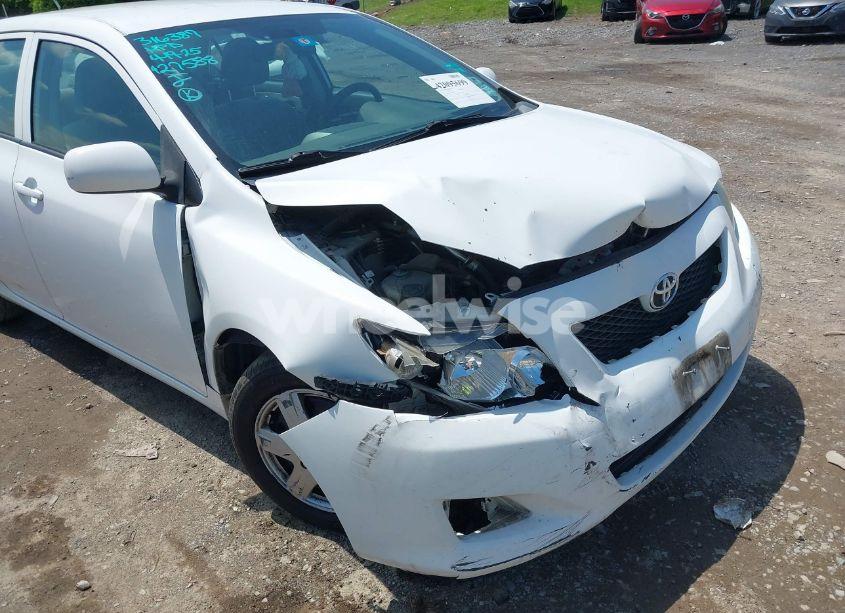 Photo 6 of 2010 Toyota Corolla LE (VIN 2T1BU4EE1AC427588)