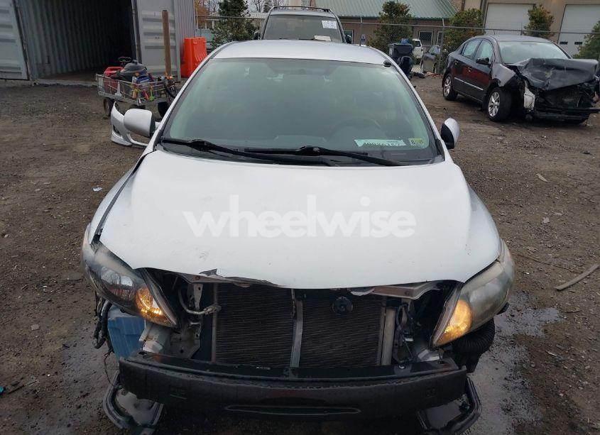 Photo 6 of 2010 Toyota Corolla S (VIN 2T1BU4EE1AC454838)