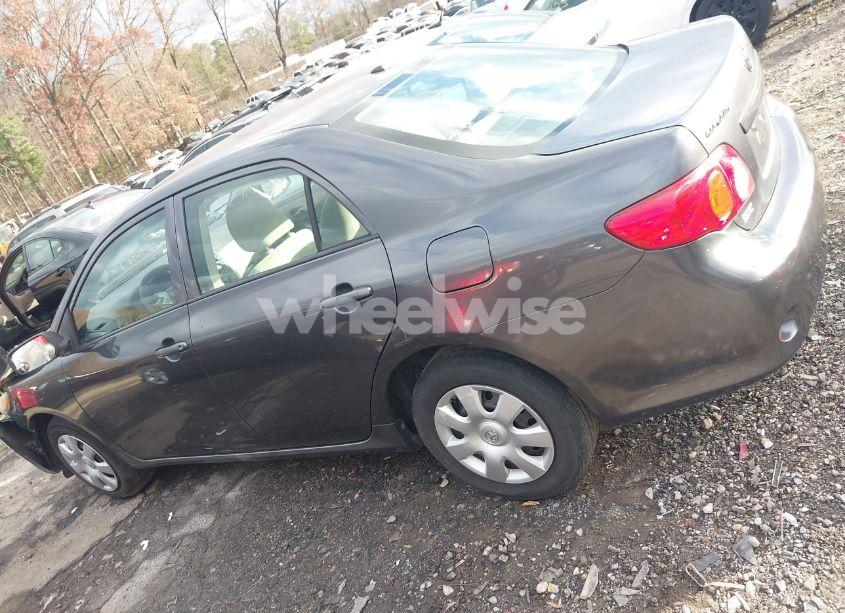 Photo 14 of 2010 Toyota Corolla LE (VIN 2T1BU4EE1AC492179)