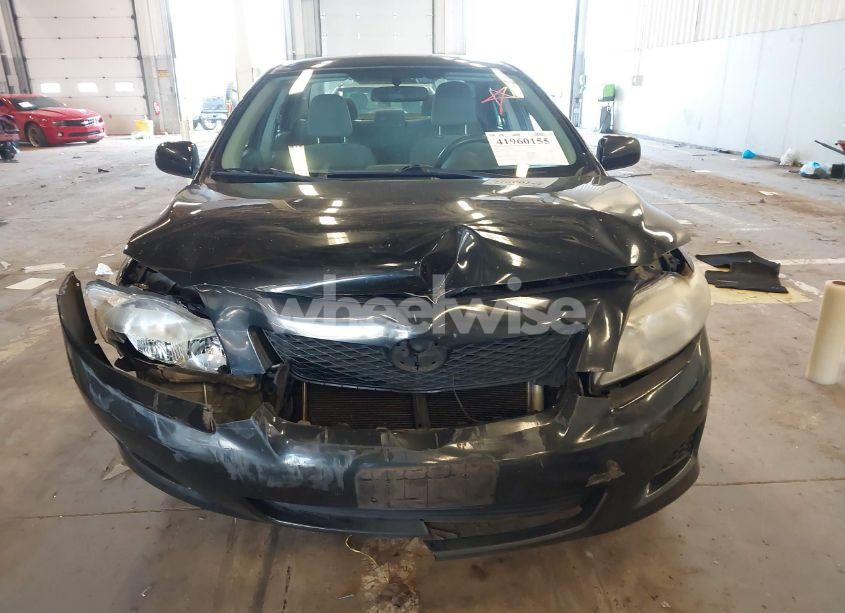 Photo 12 of 2010 Toyota Corolla LE (VIN 2T1BU4EE1AC505741)