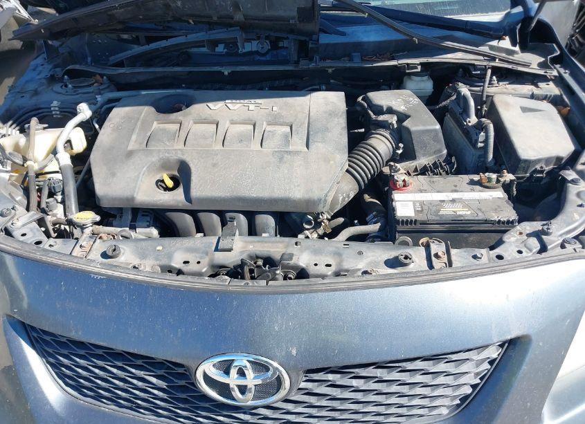 Photo 9 of 2010 Toyota Corolla LE (VIN 2T1BU4EE1AC509319)