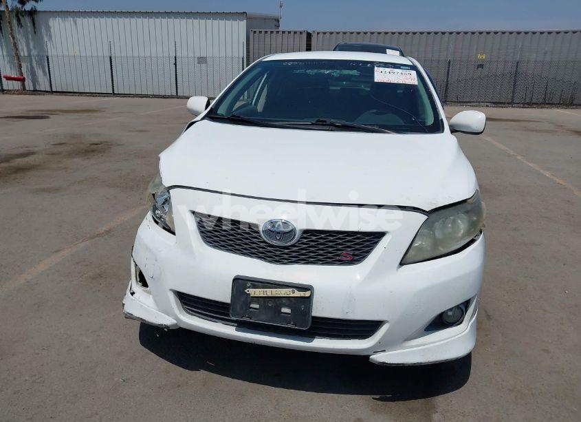Photo 12 of 2010 Toyota Corolla S (VIN 2T1BU4EE1AC516402)