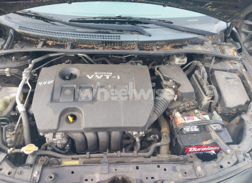 Photo 10 of 2010 Toyota Corolla LE (VIN 2T1BU4EE1AC523818)