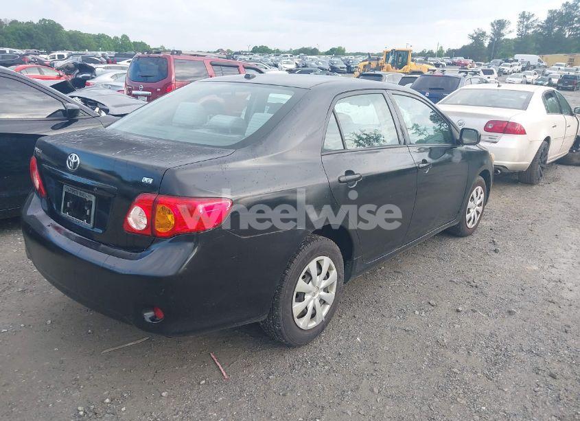 Photo 4 of 2010 Toyota Corolla LE (VIN 2T1BU4EE1AC523818)