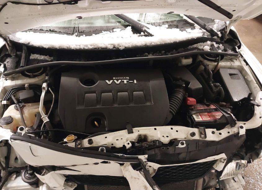 Photo 10 of 2010 Toyota Corolla LE (VIN 2T1BU4EE1AC531837)