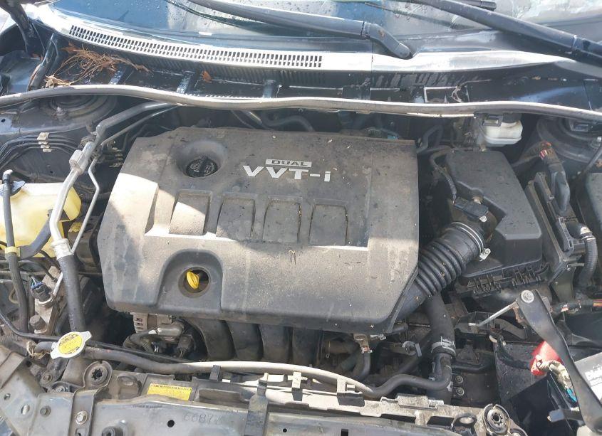 Photo 10 of 2010 Toyota Corolla LE (VIN 2T1BU4EE1AC533071)