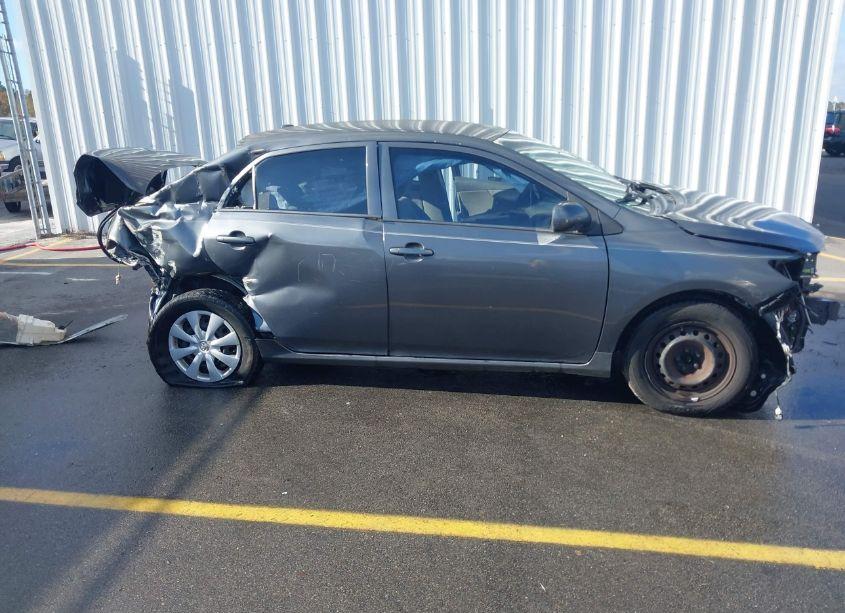 Photo 14 of 2010 Toyota Corolla LE (VIN 2T1BU4EE1AC533071)