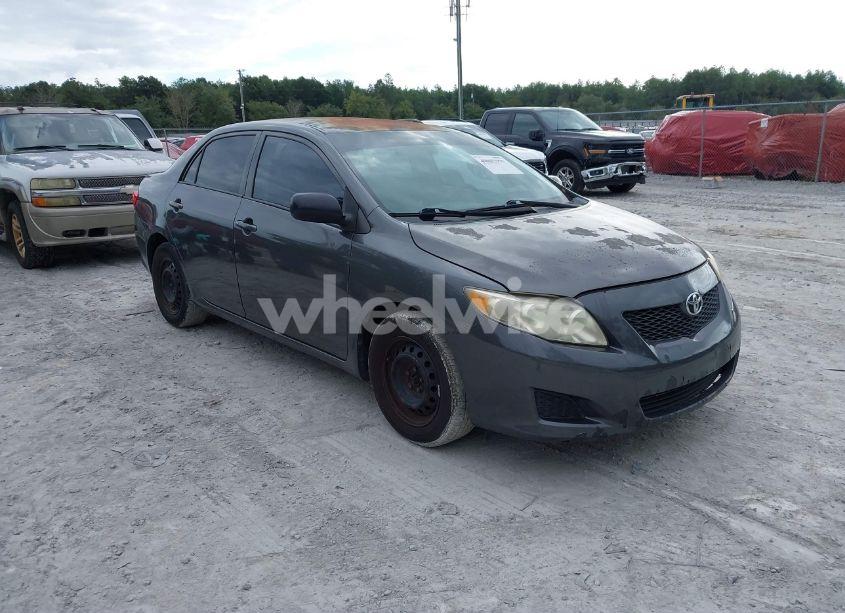 2010 Toyota Corolla LE (VIN 2T1BU4EE1AC534446) main photo