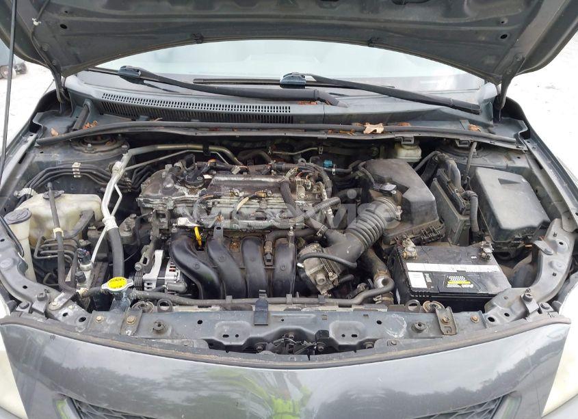 Photo 10 of 2010 Toyota Corolla LE (VIN 2T1BU4EE1AC534446)