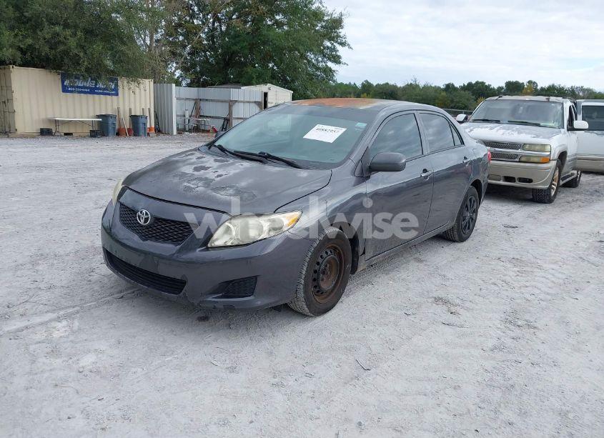 Photo 2 of 2010 Toyota Corolla LE (VIN 2T1BU4EE1AC534446)