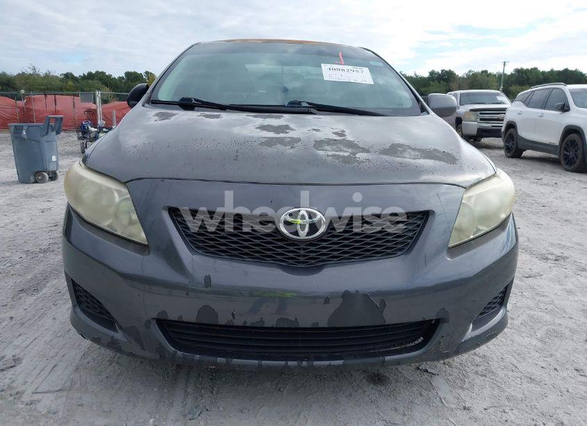 Photo 6 of 2010 Toyota Corolla LE (VIN 2T1BU4EE1AC534446)