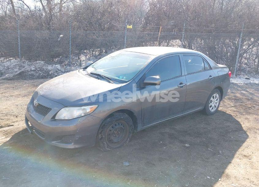 Photo 2 of 2010 Toyota Corolla LE (VIN 2T1BU4EE1AC534477)