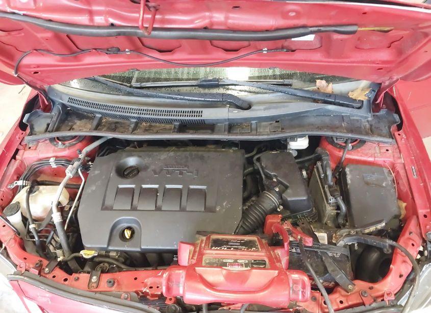 Photo 10 of 2011 Toyota Corolla S (VIN 2T1BU4EE1BC627436)