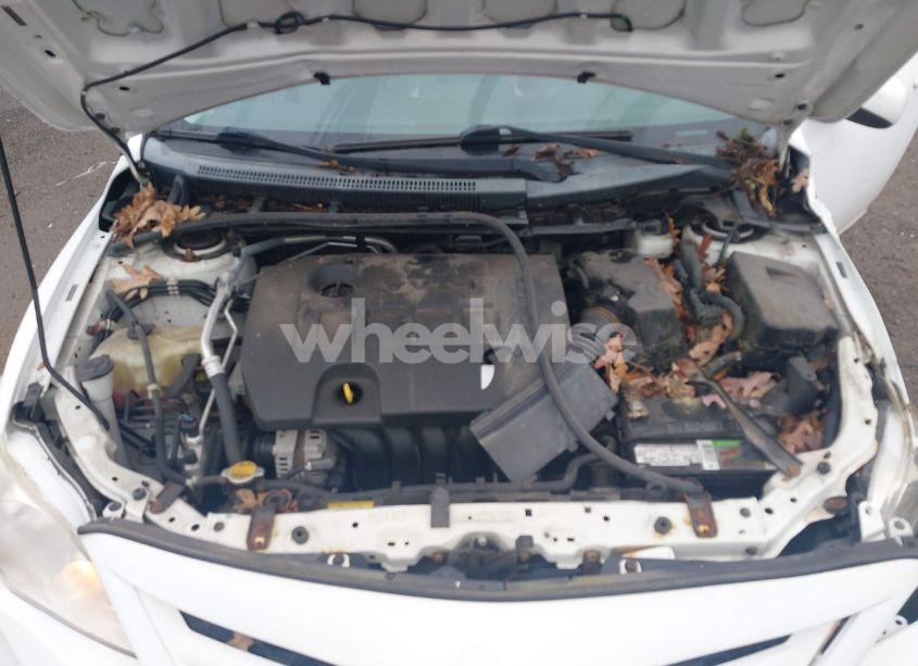 Photo 10 of 2011 Toyota Corolla LE (VIN 2T1BU4EE1BC693128)