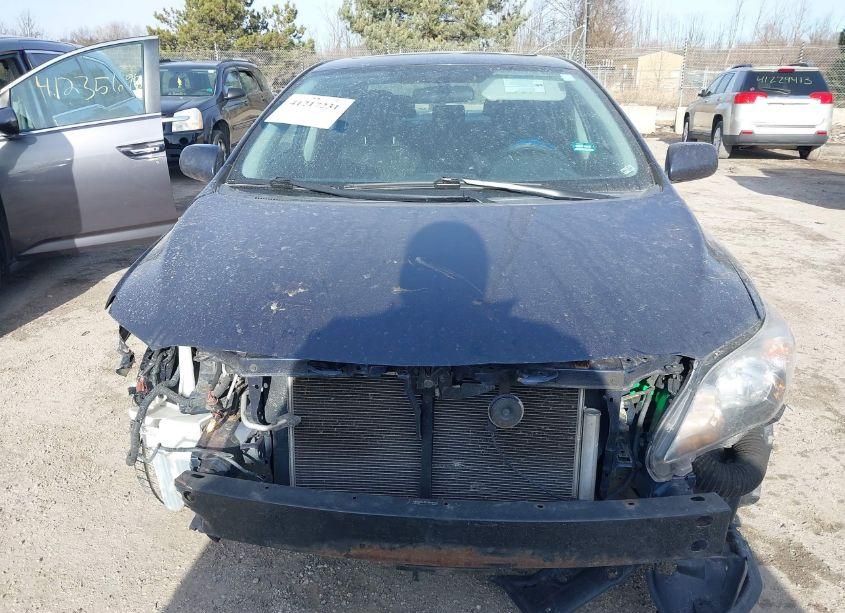 Photo 13 of 2011 Toyota Corolla S (VIN 2T1BU4EE1BC725415)