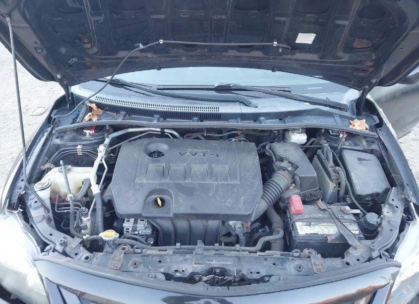 Photo 10 of 2011 Toyota Corolla S (VIN 2T1BU4EE1BC728251)