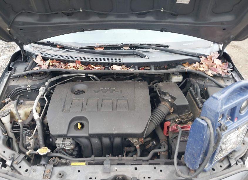 Photo 10 of 2012 Toyota Corolla LE (VIN 2T1BU4EE1CC797250)