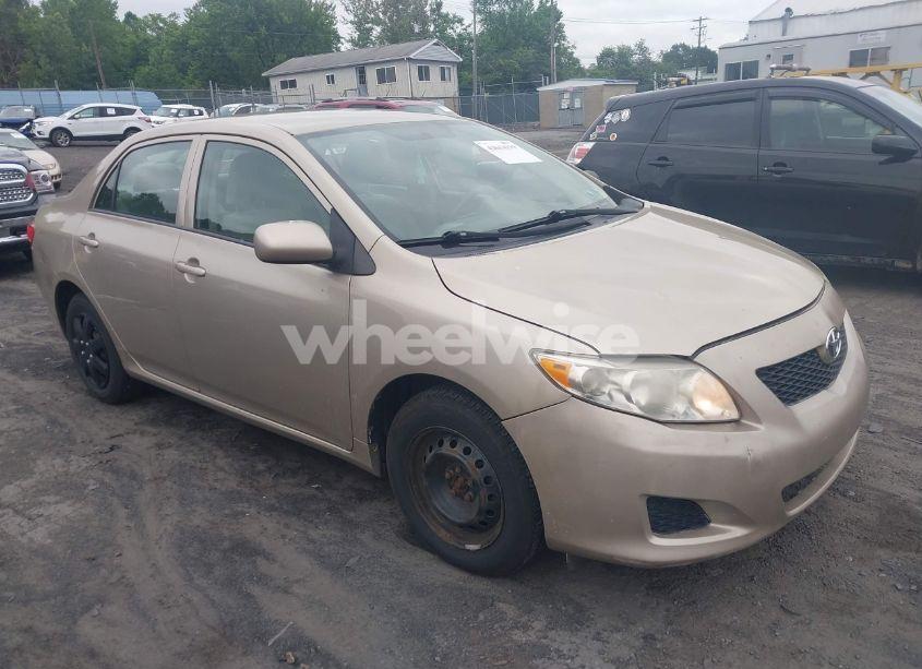 2010 Toyota Corolla LE (VIN 2T1BU4EE2AC200118) main photo