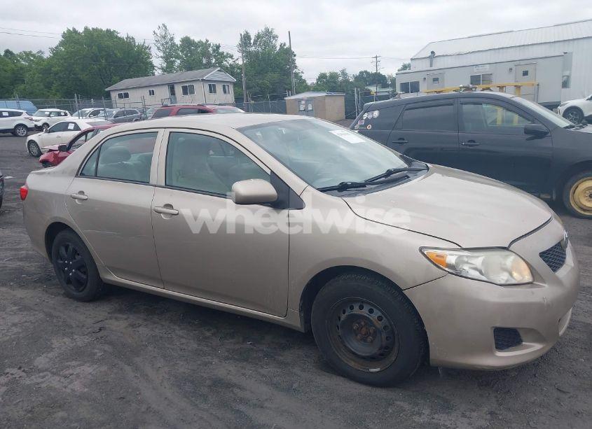 Photo 6 of 2010 Toyota Corolla LE (VIN 2T1BU4EE2AC200118)