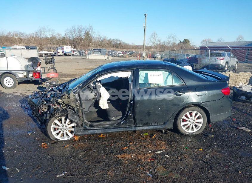 Photo 14 of 2010 Toyota Corolla S (VIN 2T1BU4EE2AC218554)