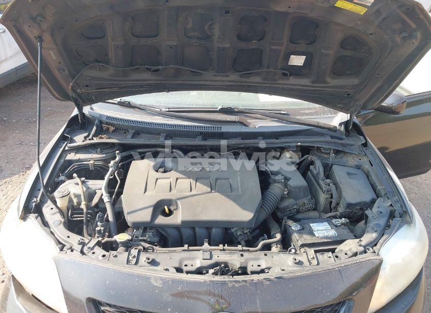 Photo 10 of 2010 Toyota Corolla LE (VIN 2T1BU4EE2AC231370)