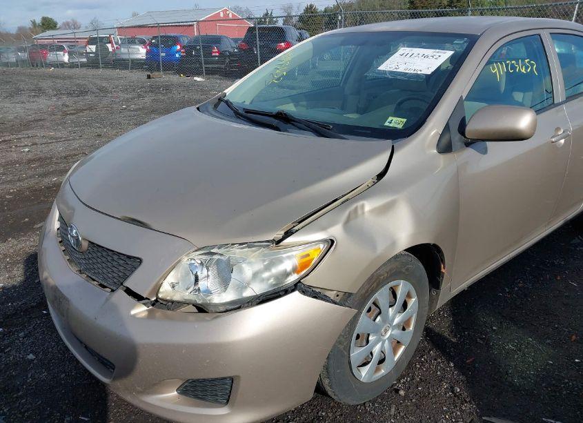 Photo 6 of 2010 Toyota Corolla LE (VIN 2T1BU4EE2AC257922)
