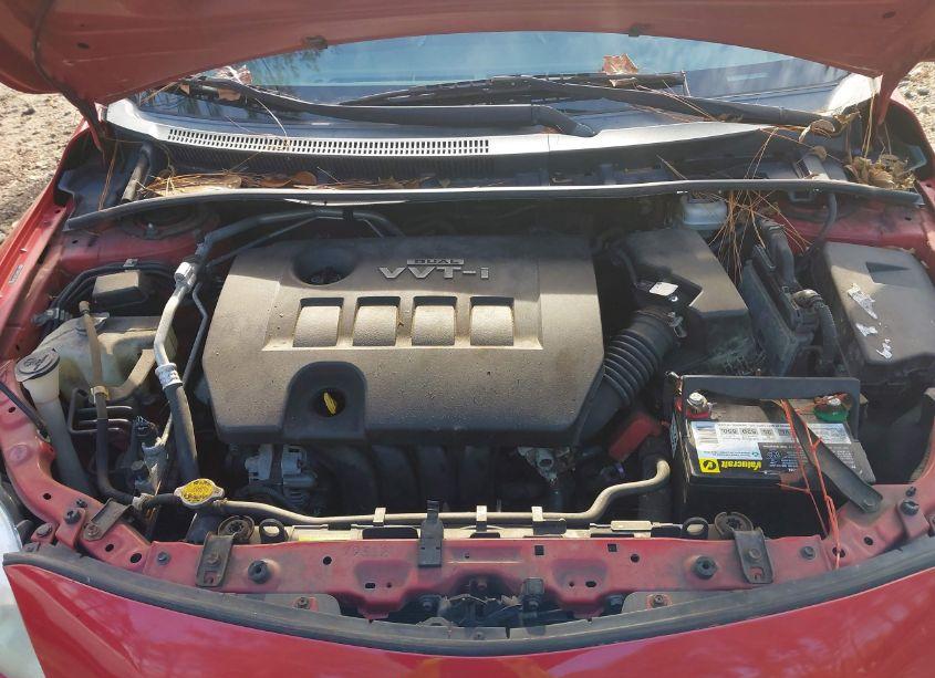 Photo 10 of 2010 Toyota Corolla LE (VIN 2T1BU4EE2AC261467)