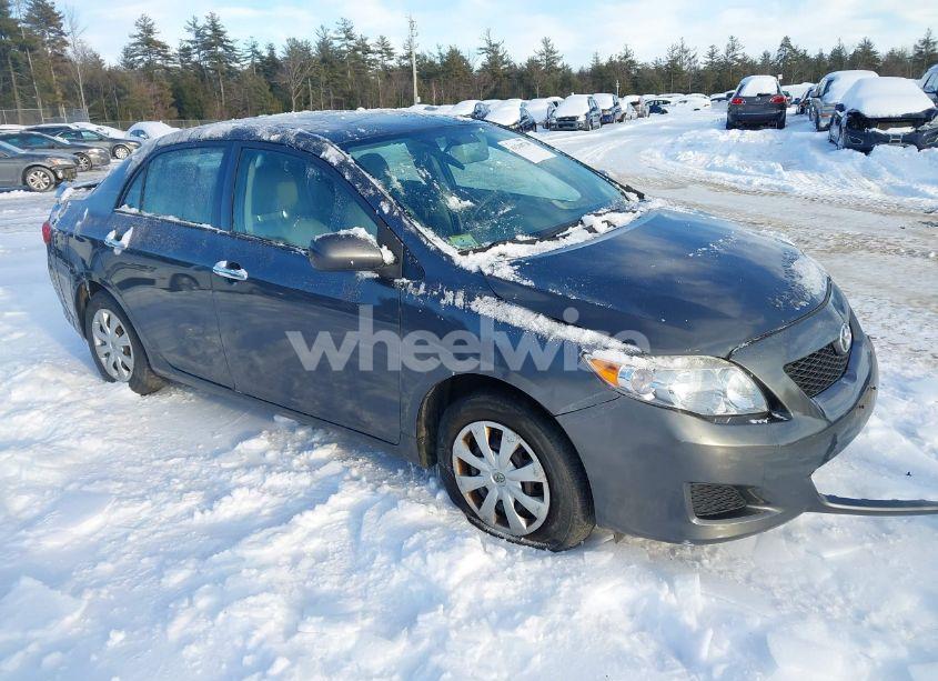 2010 Toyota Corolla LE (VIN 2T1BU4EE2AC282464) main photo
